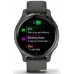 Умные часы Garmin Venu 2S (сланцевая нержавеющая сталь/черный)