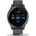 Умные часы Garmin Venu 2S (сланцевая нержавеющая сталь/черный)