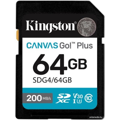Карта памяти Kingston Canvas Go! Plus SDXC 64GB SDG4/64GB