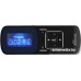 MP3 плеер Ritmix RF-3490 4GB (черный)