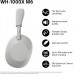 Наушники Sony WH-1000XM6 (серый)