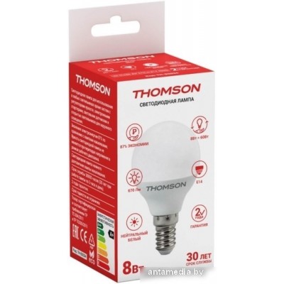 Светодиодная лампочка Thomson Globe TH-B2034