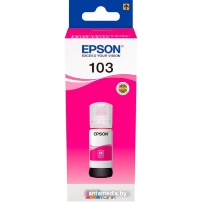 Чернила Epson C13T00S34A