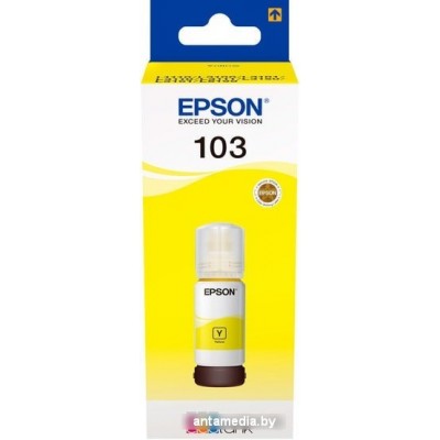 Чернила Epson C13T00S44A