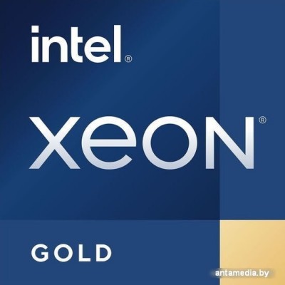 Процессор Intel Xeon Gold 6326 Процессор Intel Xeon Gold 6326