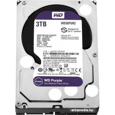 Жесткий диск WD Purple 3TB [WD30PURZ]