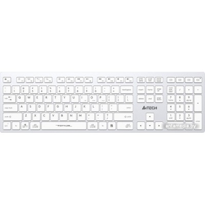 Клавиатура A4Tech Fstyler FBX50C (серебристый/белый)