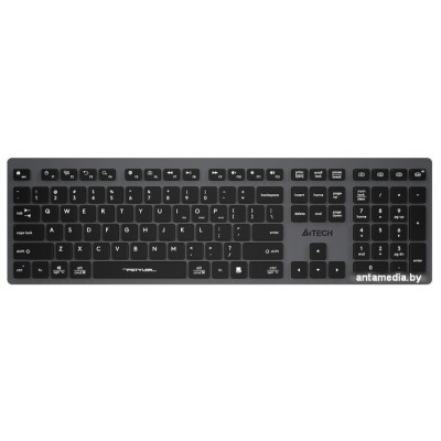 Клавиатура A4Tech Fstyler FBX50C (серый/черный)