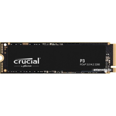 SSD Crucial P3 2TB CT2000P3SSD8