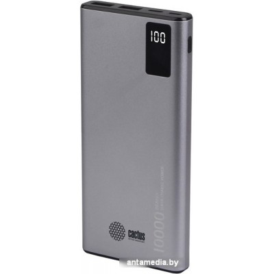 Внешний аккумулятор CACTUS CS-PBFSLT-10000 (серый)