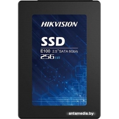 SSD Hikvision E100 256GB HS-SSD-E100/256G