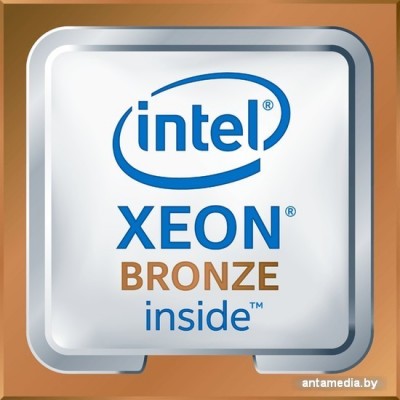Процессор Intel Xeon Bronze 3204 Процессор Intel Xeon Bronze 3204