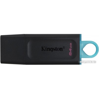 USB Flash Kingston Exodia 64GB