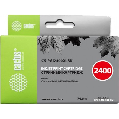 Картридж CACTUS CS-PGI2400XLBK (аналог Canon PGI-2400XL BK)