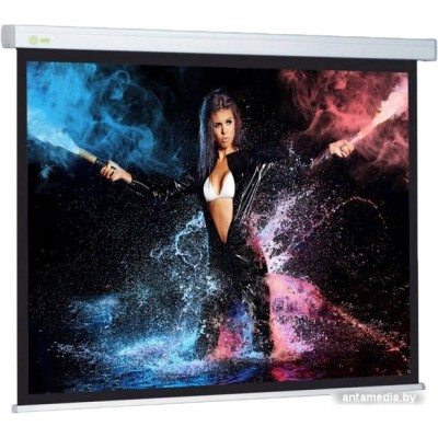 Проекционный экран CACTUS Wallscreen CS-PSW-168x299