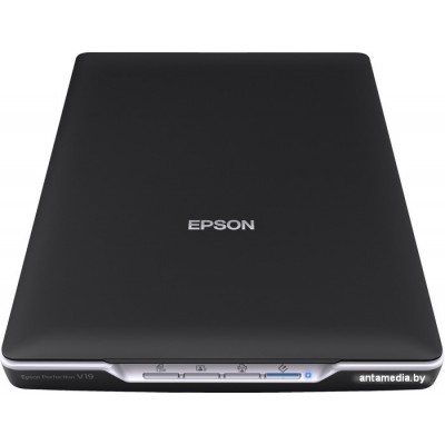 Сканер Epson Perfection V19