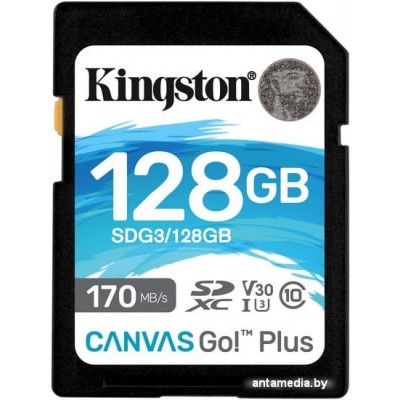 Карта памяти Kingston Canvas Go! Plus SDXC 128GB