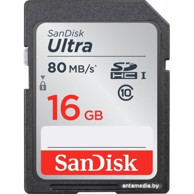 Карта памяти SanDisk SDHC (Class 10) 16GB [SDSDUNC-016G-GN6IN]