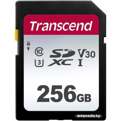 Карта памяти Transcend SDHC 300S 256GB