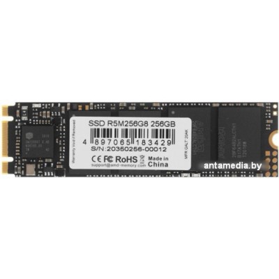 SSD AMD Radeon R5 256GB R5M256G8 SSD AMD Radeon R5 256GB R5M256G8