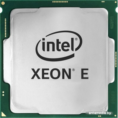 Процессор Intel Xeon E-2388G Процессор Intel Xeon E-2388G