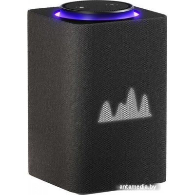 Умная колонка Яндекс Станция Макс (с хабом умного дома Zigbee, графит)