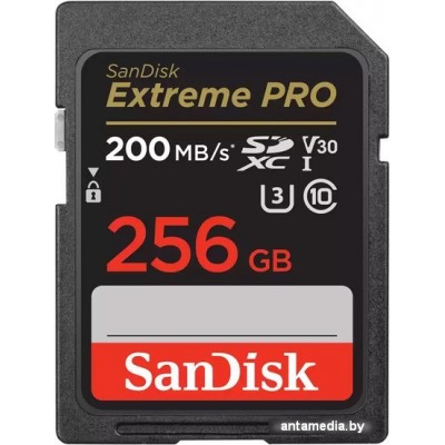 Карта памяти SanDisk Extreme PRO SDXC SDSDXXD-256G-GN4IN 256GB