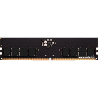 Оперативная память AMD Radeon R5 Entertainment Series 16ГБ DDR5 4800 МГц R5516G4800U1S-U