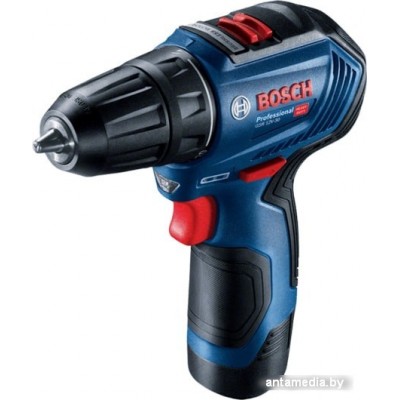 Дрель-шуруповерт Bosch GSR 12V-30 Professional 06019G9000 (с 2-мя АКБ, кейс) Дрель-шуруповерт Bosch GSR 12V-30 Professional 06019G9000 (с 2-мя АКБ, кейс)