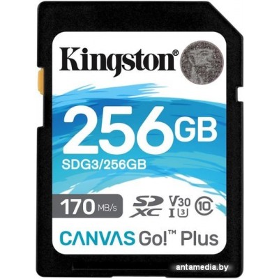 Карта памяти Kingston Canvas Go! Plus SDXC 256GB