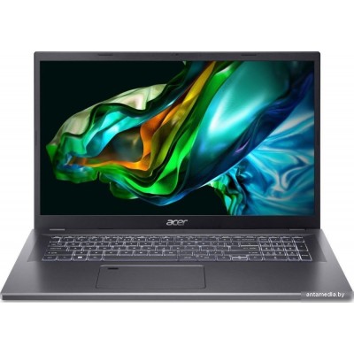 Ноутбук Acer Aspire 17 A17-51M-55QH NX.J02EL.002