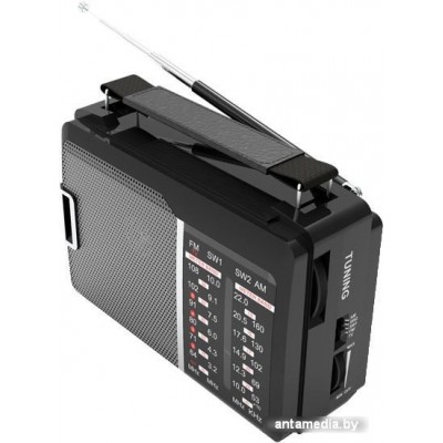 Радиоприемник Ritmix RPR-190