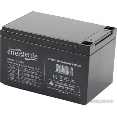 Аккумулятор для ИБП Gembird BAT-12V12AH