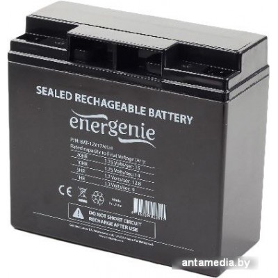 Аккумулятор для ИБП Gembird BAT-12V17AH/4