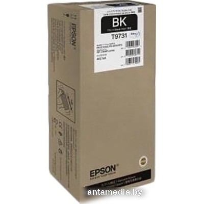 Чернила Epson C13T973100