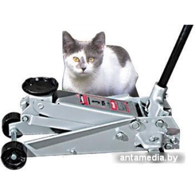 Подкатной домкрат Matrix 51040 3т. Подкатной домкрат Matrix 51040 3т.