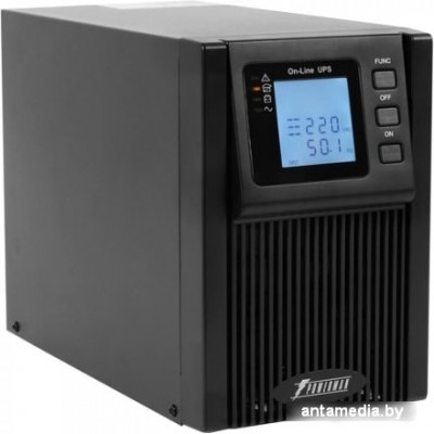 Источник бесперебойного питания Powerman Online 1000 (1000VA)