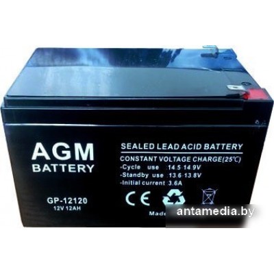 Аккумулятор для ИБП AGM Battery GP 12120 (12В/12 А·ч)