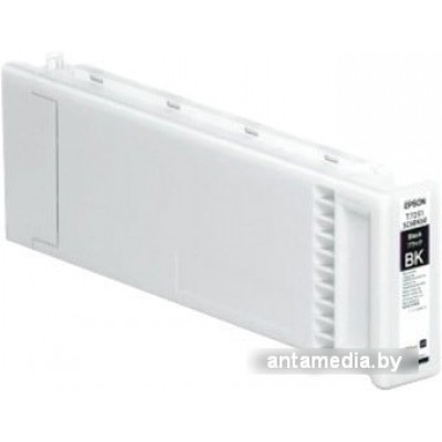 Картридж Epson C13T725100