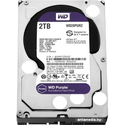 Жесткий диск WD Purple 2TB [WD20PURZ]