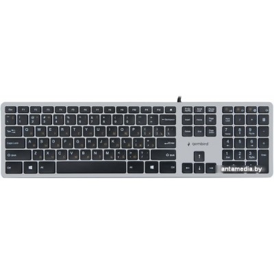 Клавиатура Gembird KB-8420