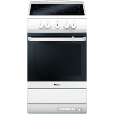 Кухонная плита Hansa FCCW54000