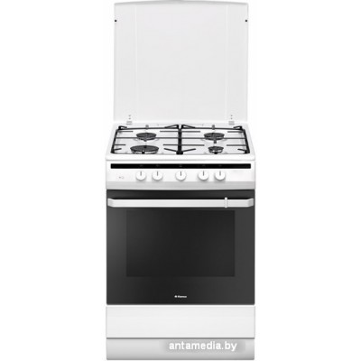 Кухонная плита Hansa FCGW61000