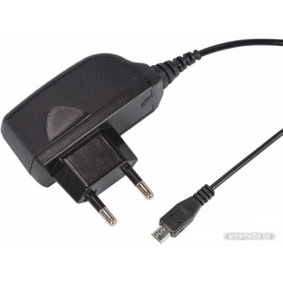 Сетевое зарядное Rexant 16-0260-1