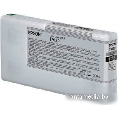 Картридж Epson C13T913900