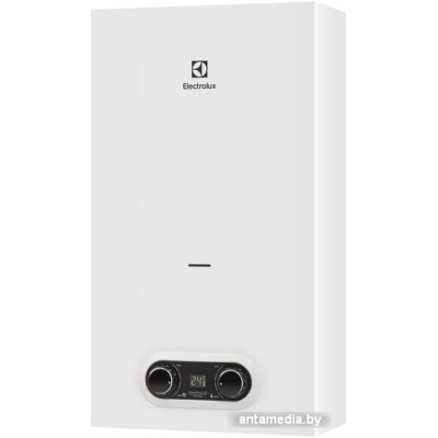 Газовая колонка Electrolux GWH 12 NanoPlus 2.0 Газовая колонка Electrolux GWH 12 NanoPlus 2.0