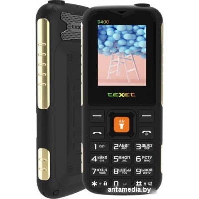 Кнопочный телефон TeXet TM-D400 (черный)