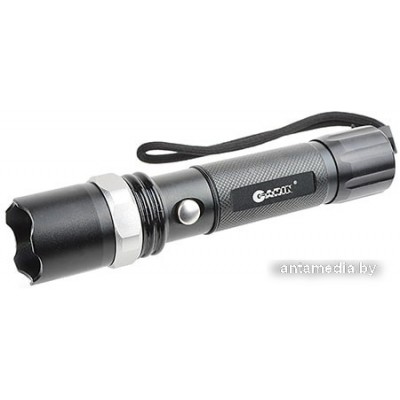 Фонарь Garin MR2-3W