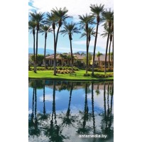 Инфракрасный обогреватель БРТЗ Дыхание тепла Лагуна ЭОБН-0.4-220-УХЛ4