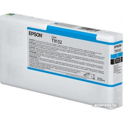 Картридж Epson C13T913200